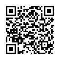 QR COMIDA II ERDBEER PLV DS 480 G