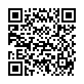 QR VT IMPULS AD KKL2 V P/S OFS CA