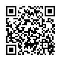 QR VT IMPULS AD KKL2 V P/S OFS SC