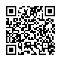 QR BORT TALOSTAB KNOECH XL LI SIL