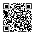 QR WILLI FOX DROGENTEST OPIAT