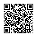 QR METALLSTOCK REFL 72-94.5CM