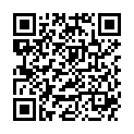 QR SPENGLER VIRUS INF A D13