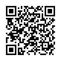 QR FUNNY TASCHENTUECHER 4-LAGIG