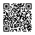 QR MEDIDOR ERSATZSCHLAUCH ZU PULS