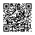 QR H MENTHAE PIP FOL CONC PHEUR