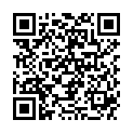 QR VALANOP SCHUTZAUFLAGEN 42X60CM