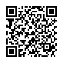 QR DAMASCENA FOR MY CAR MIT 1