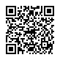 QR CYSTOFIX WECHSELBESTECK CH10