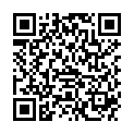 QR H MENTHAE PIP FOL CONC PHEUR