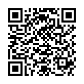 QR WELLSTONE MASSAGEROLLER JASPIS