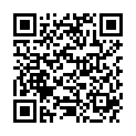 QR LABULIT WP-ROHRREINIGER FL 1 L