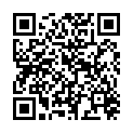 QR DIEM LESEBR TWIST AROUN SW 1.0