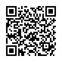 QR DIEM LESEBR CHURCHILL BRAU 3.5