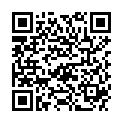 QR DIEM LESEBR CHURCHILL BRAU 3.0