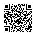 QR DIEM LESEBR CHURCHILL BRAU 2.0