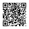 QR AROMAL GESSET DUFTSTEIN EN