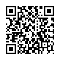 QR WEL ARGENTUM METALLICUM PR