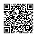 QR PARI ANSCHLUSSKABEL12V UNI