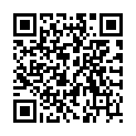 QR ISSRO GLASTELLER MITTEL