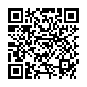 QR BZ PUDERPINSEL OHNE STIEL SCHW