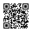 QR WEL ARGENTUM METALLICUM PR