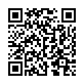 QR WEL ARGENTUM METALLICUM PR