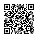 QR DV STEVEN LESEBR SCHWARZ 3.0