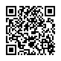 QR WELEDA Carbo Equiseti arvensis D 15 А 8 шт.