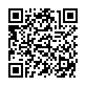 QR Weleda Stibium Metallicum Praeparatum D 20 А 8 шт.