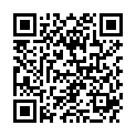 QR VALANOP SCHUTZAUFL 37.5X45CM