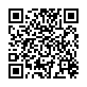 QR DIEM LESEBR MALLORCA GUN 2.5