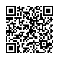 QR DIEM LESEBR TURIN 1.0