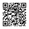 QR DV STEVEN LESEBR SCHWARZ 2.5