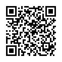 QR OMIDA GRAPHITES C 200 2 G