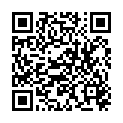 QR HAUSMANN PINZE SCHRAEG SW EDEL