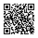 QR SONNENTOR ADVENTKAL GEWUE 24BT