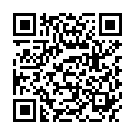 QR CARNEVAL SCHMINKPINSEL EXBREIT