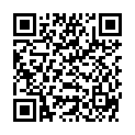 QR HE LIMETTE ECHTE SCHALE ITAL