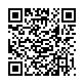 QR INWOLINO KUSCHELTUCH KATZE