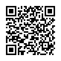 QR PAPILLI INTERDENTALBUERST NR 3