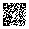 QR PAPILLI INTERDENTALBUERST NR 0