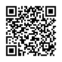 QR PAPILLI INTERDENTALBUERST NR 1