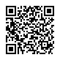 QR PAPILLI INTERDENTALBUERST NR 2