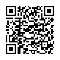 QR DERMACOLOR FIXIERPUDER P11 DS