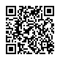 QR BRLIND AUGENBRAUENSTIFT BROWN