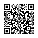 QR WEL STIBIUM METALL PRAE 0.4%