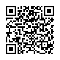 QR MEDIDOR LEDER SPRINGSEIL