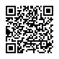 QR BUTSCH SKALPELLGRIFF NR3