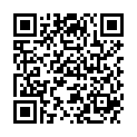 QR JOY DUFTMAENNCHEN AUTO BL-WH O